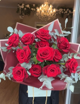 Premium Red Roses